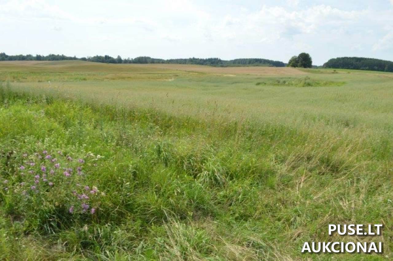 Žemės sklypas Sklypai Gilaičiai, Platelių sen., Plungės r. sav. 2