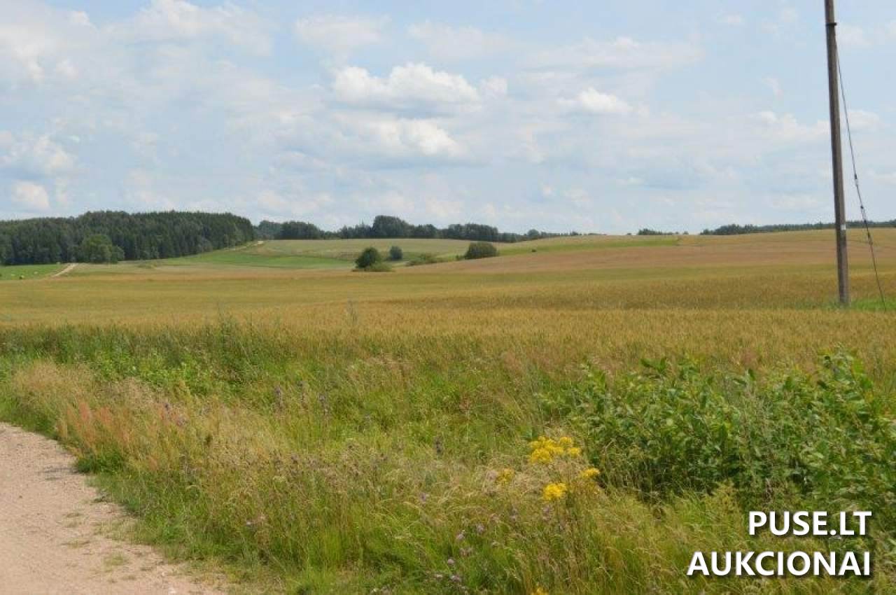 Žemės sklypas Sklypai Gilaičiai, Platelių sen., Plungės r. sav. 3