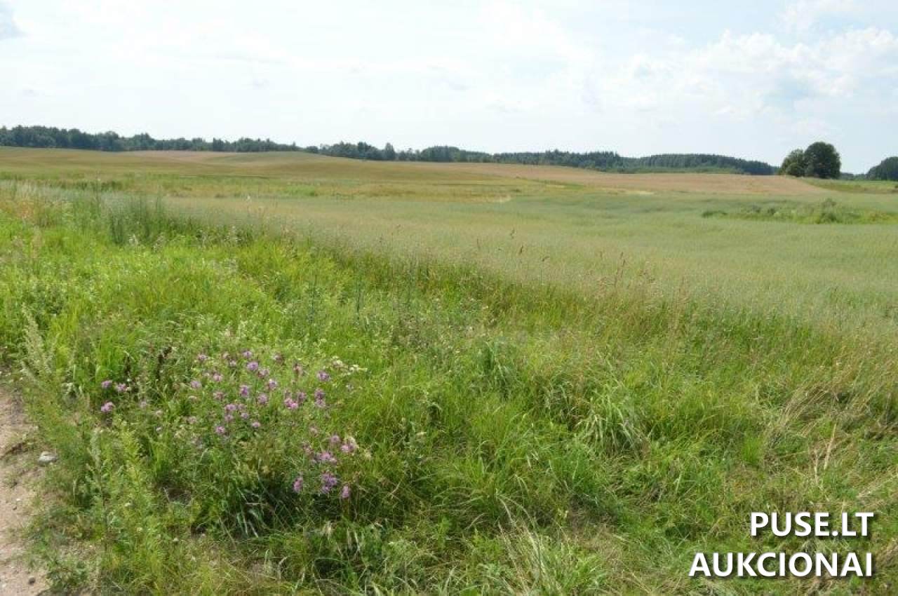 Žemės sklypas Sklypai Gilaičiai, Platelių sen., Plungės r. sav. 5