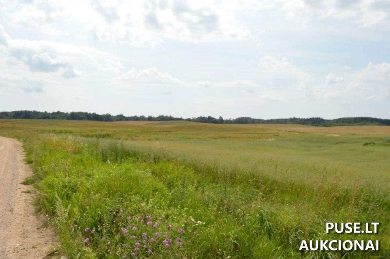 Žemės sklypas Sklypai Gilaičiai, Platelių sen., Plungės r. sav. 6