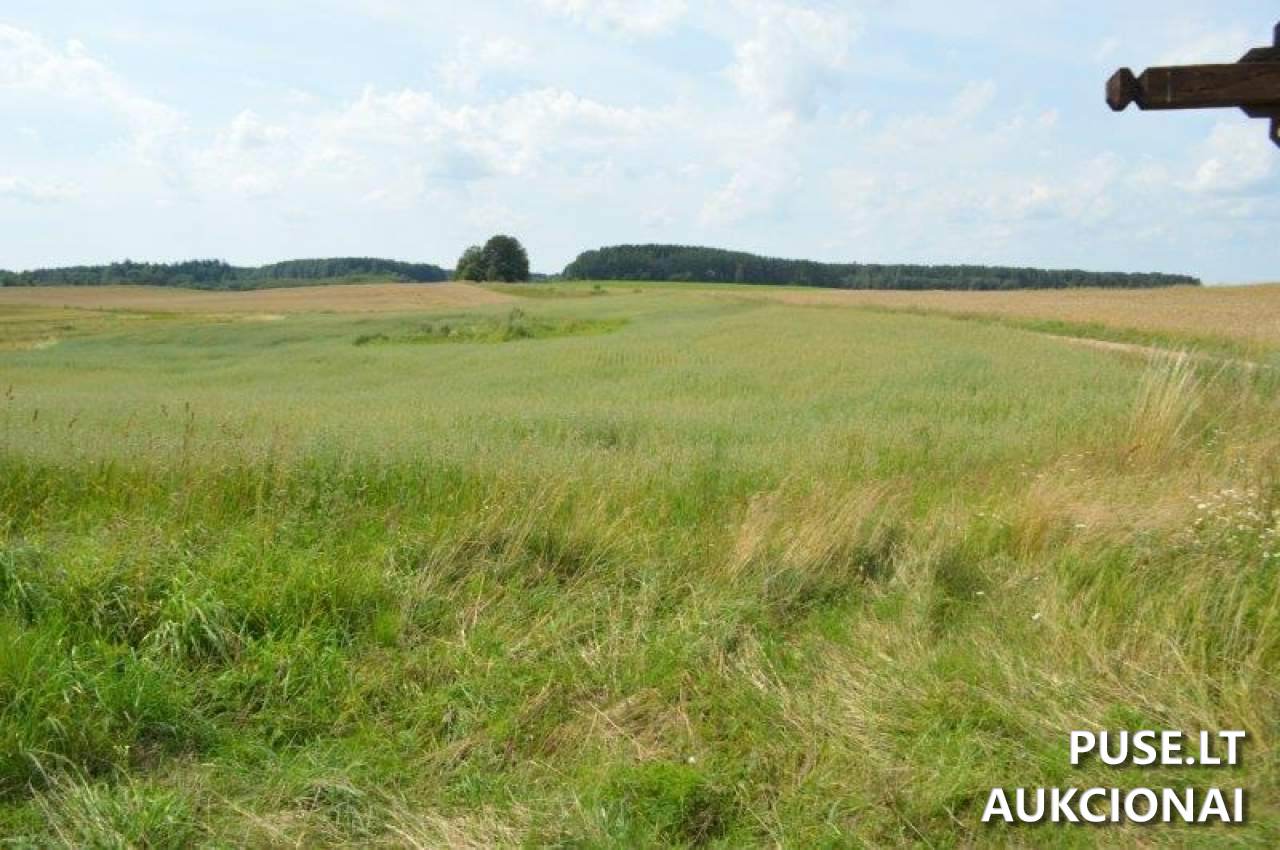 Žemės sklypas Sklypai Gilaičiai, Platelių sen., Plungės r. sav. 7