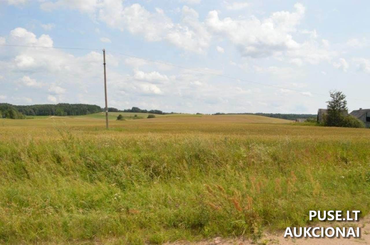 Žemės sklypas Sklypai Gilaičiai, Platelių sen., Plungės r. sav. 8