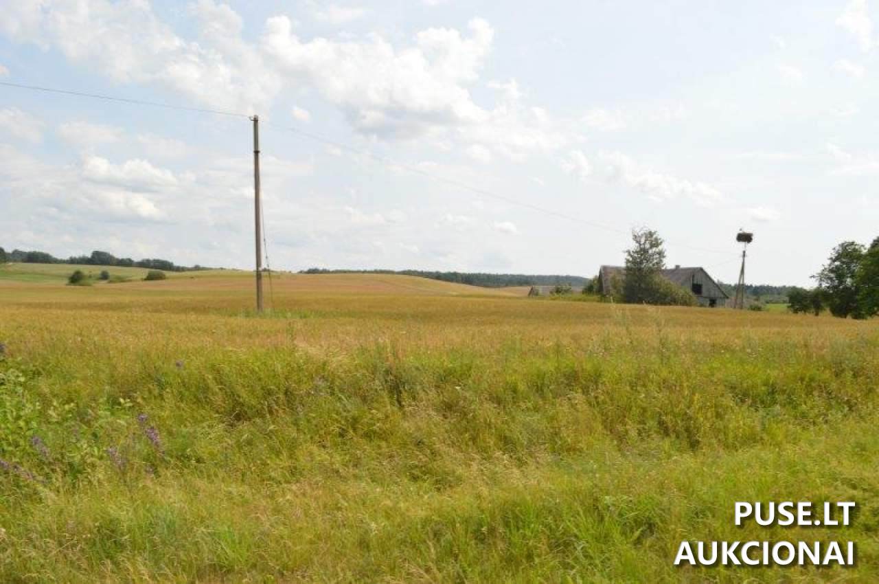 Žemės sklypas Sklypai Gilaičiai, Platelių sen., Plungės r. sav. 10