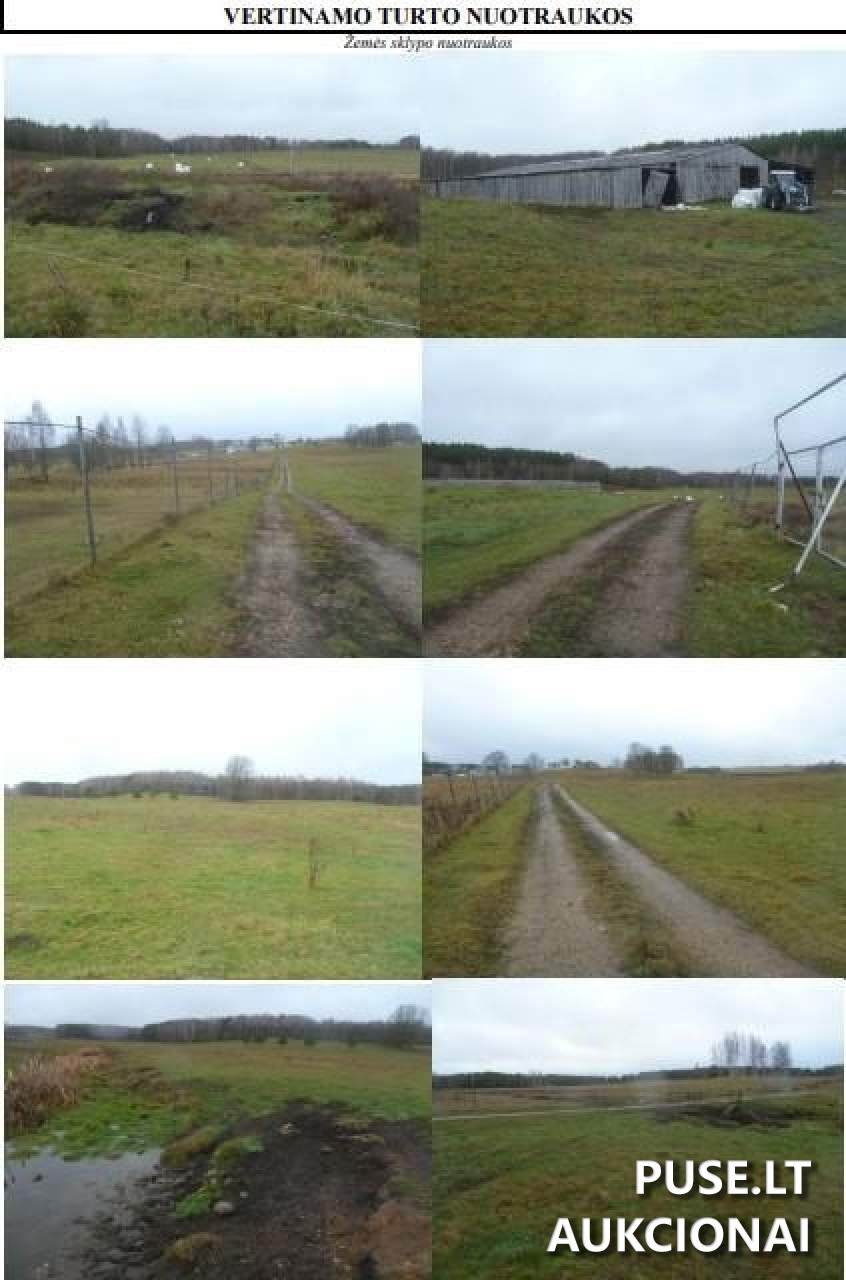 Žemės sklypas Sklypai Laumikoniai, Dubingių sen., Molėtų r. sav. 3
