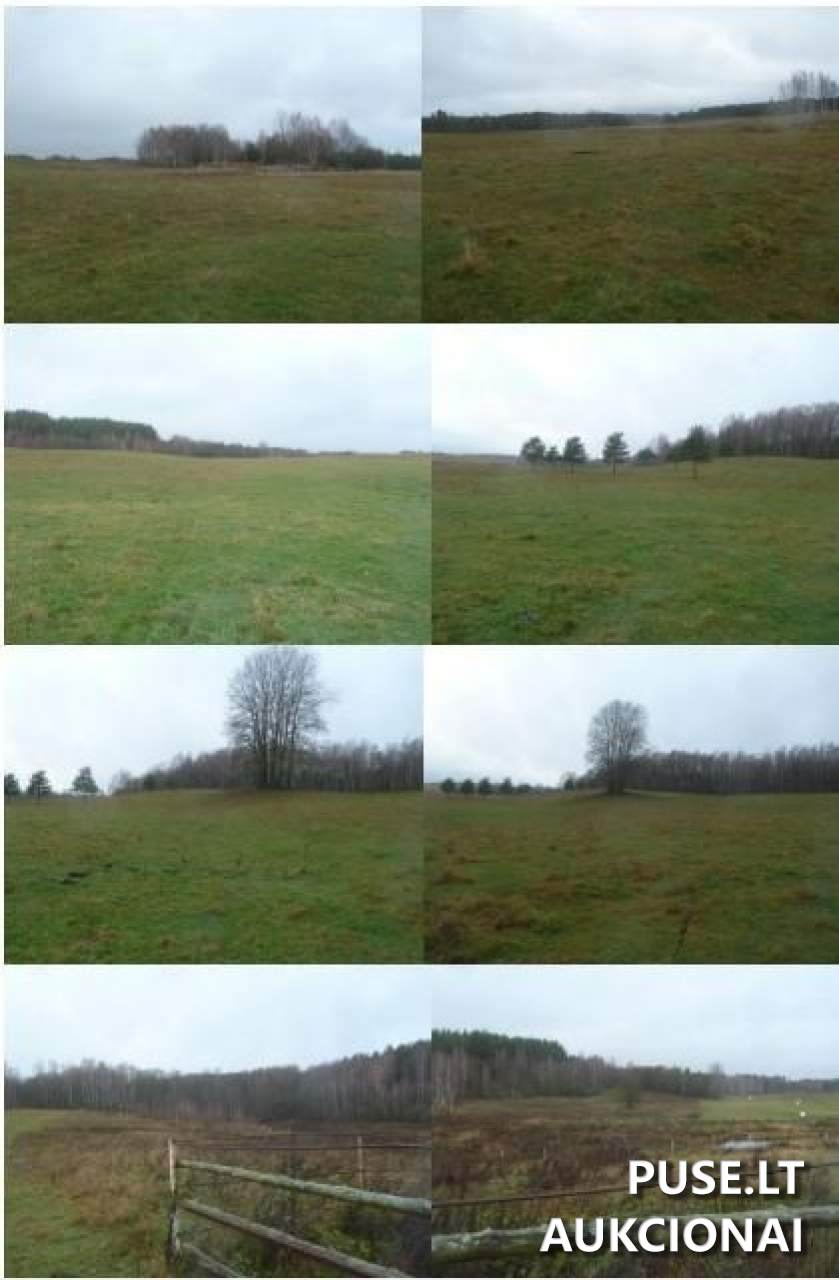 Žemės sklypas Sklypai Laumikoniai, Dubingių sen., Molėtų r. sav. 4