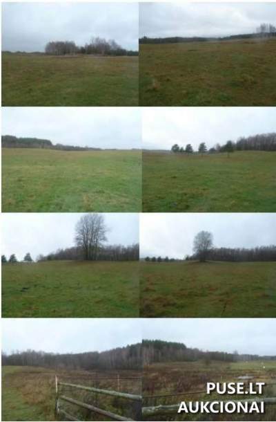 Žemės ūkio paskirties sklypo 1/2 dalis Molėtų rajone, Laumikonių kaime, pradinė kaina 14640 EUR