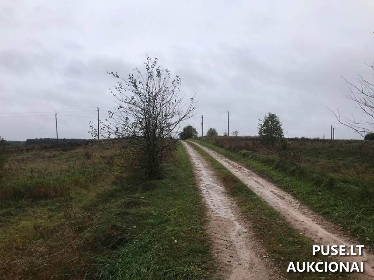 Žemės sklypas Sklypai Vilniaus g., Maišiagala, Maišiagalos sen., Vilniaus r. sav. 3