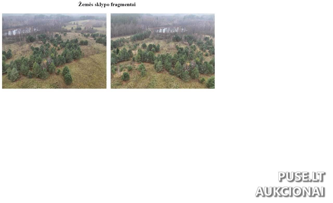 Žemės sklypas Sklypai Daneikiai, Degučių sen., Zarasų r. sav. 2