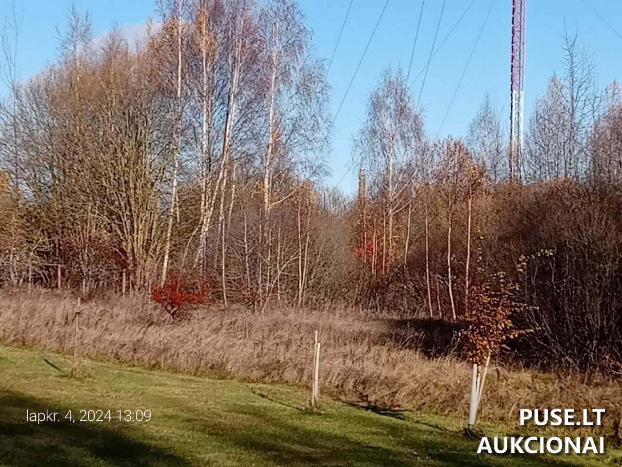 Žemės sklypas Sklypai P. Cvirkos g. 6C, 42163 Rokiškis, Rokiškio miesto sen., Rokiškio r. sav. 1