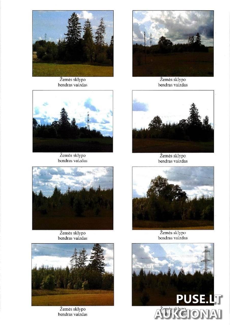 Žemės sklypas Sklypai Šadžiūnai, Lazdijų sen., Lazdijų r. sav. 3