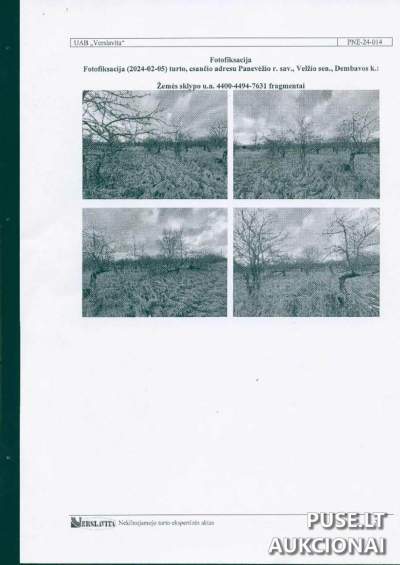 Žemės ūkio paskirties sklypo dalis Panevėžio r., Dembavos k., 5280 EUR pradinė kaina, Antstolių varžytynės