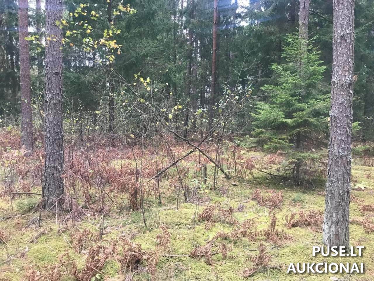 Žemės sklypas Sklypai Ašmenėlė, Rukainių sen., Vilniaus r. sav. 1