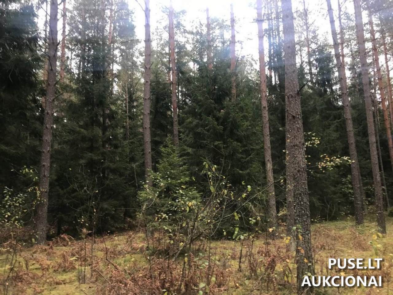 Žemės sklypas Sklypai Ašmenėlė, Rukainių sen., Vilniaus r. sav. 3