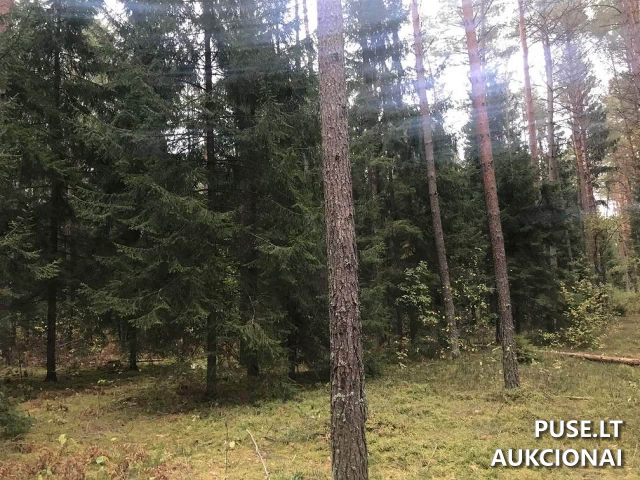 Žemės sklypas Sklypai Ašmenėlė, Rukainių sen., Vilniaus r. sav. 4