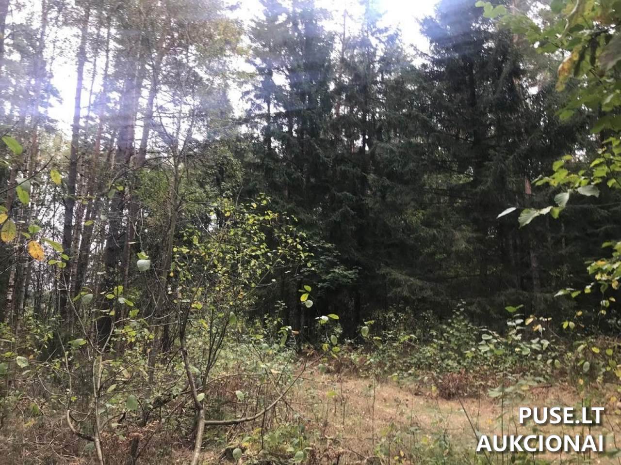 Žemės sklypas Sklypai Ašmenėlė, Rukainių sen., Vilniaus r. sav. 7