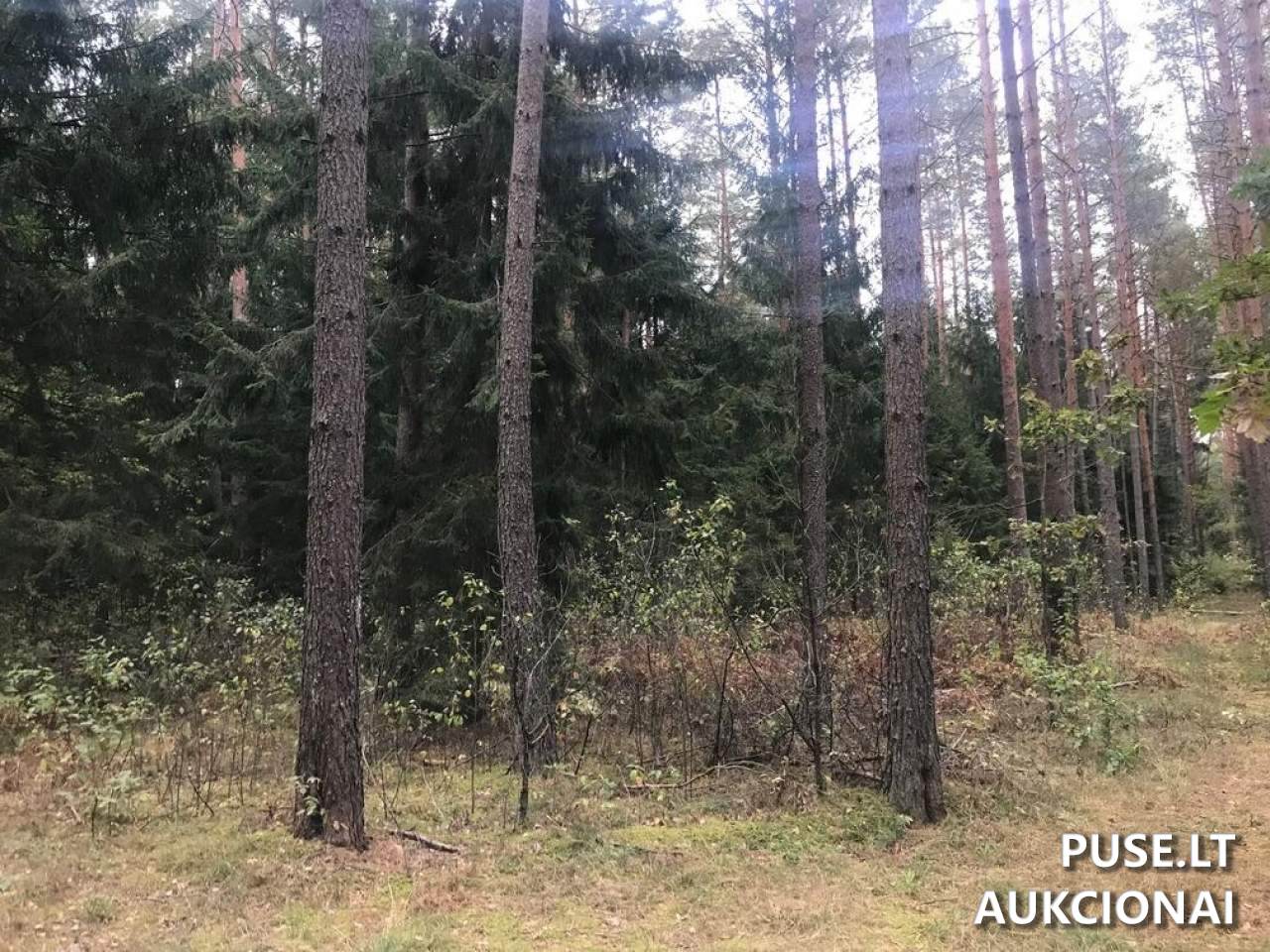 Žemės sklypas Sklypai Ašmenėlė, Rukainių sen., Vilniaus r. sav. 8