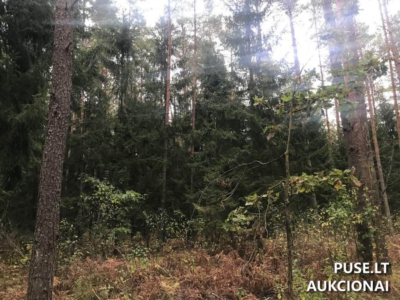 Žemės sklypas Sklypai Ašmenėlė, Rukainių sen., Vilniaus r. sav. 9
