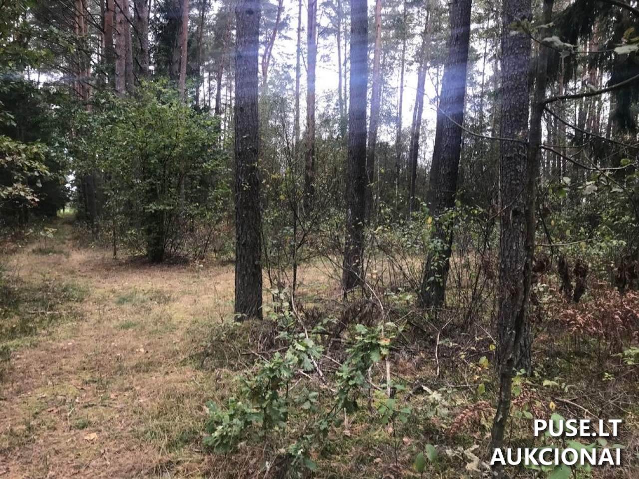 Žemės sklypas Sklypai Ašmenėlė, Rukainių sen., Vilniaus r. sav. 11