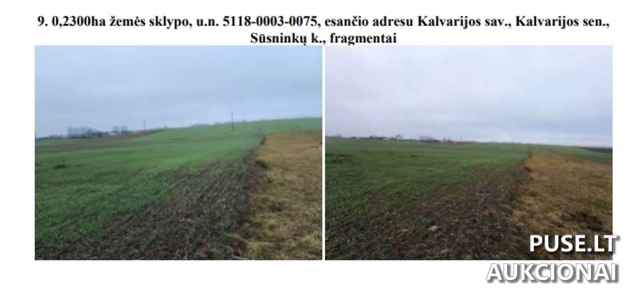 Žemės sklypas Sklypai Sūsninkai, Kalvarijos sen., Kalvarijos sav. 2