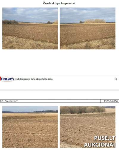 Parduodamas 0.32 ha žemės ūkio paskirties sklypas Anykščių r. sav. Kunigiškių I k. pradinė kaina 780 EUR