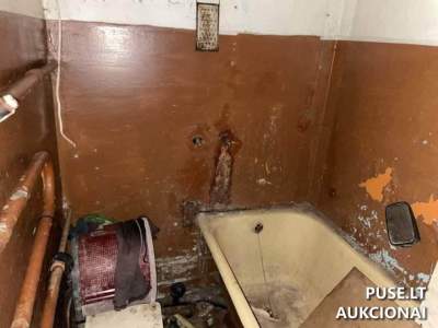 Parduodamas 46.84 kv. m. butas su rūsiu Ignalinos r. sav., Didžiasalio k. 2400 EUR pradinė kaina