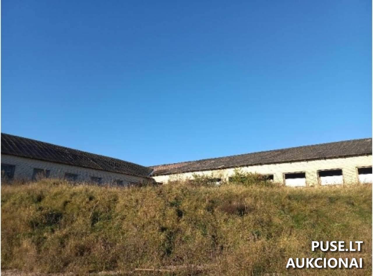 Karvidė Pastatai Aušros g. 46, 21320 Damazava, Beižionių sen., Elektrėnų sav. 7
