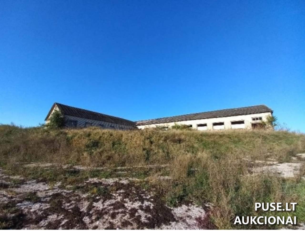 Karvidė Pastatai Aušros g. 46, 21320 Damazava, Beižionių sen., Elektrėnų sav. 8