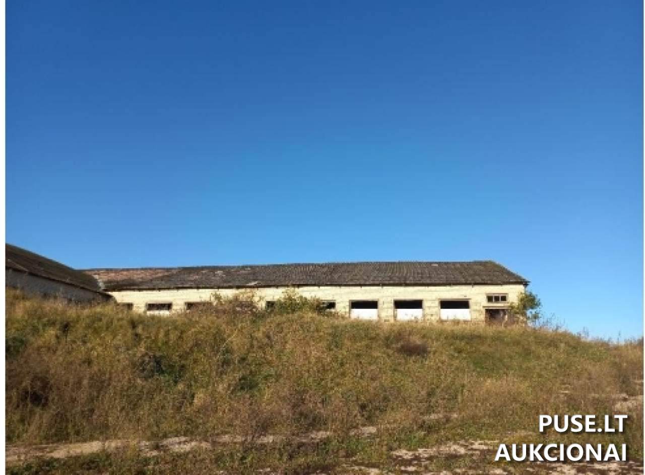 Karvidė Pastatai Aušros g. 46, 21320 Damazava, Beižionių sen., Elektrėnų sav. 10