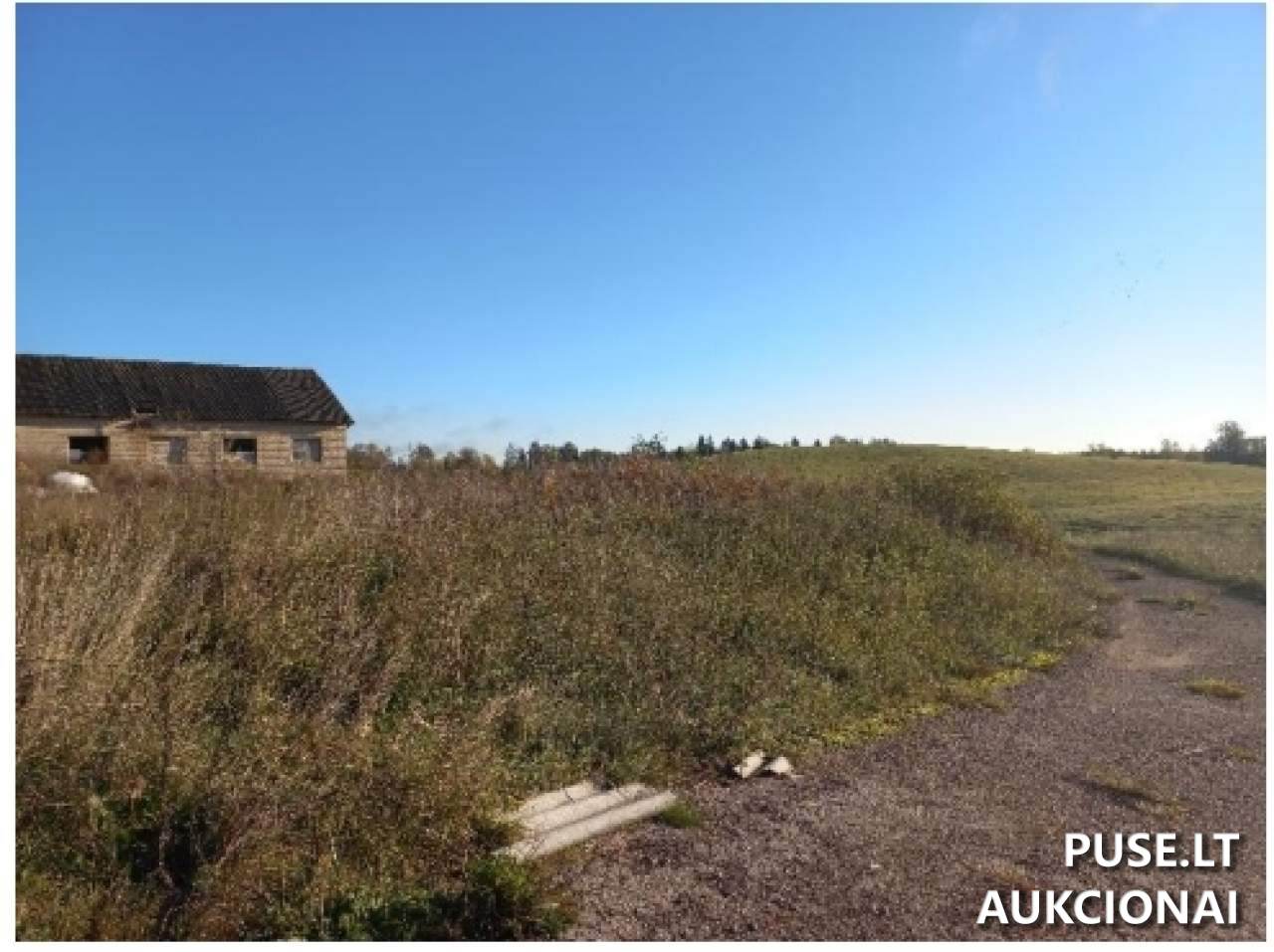 Karvidė Pastatai Aušros g. 46, 21320 Damazava, Beižionių sen., Elektrėnų sav. 17
