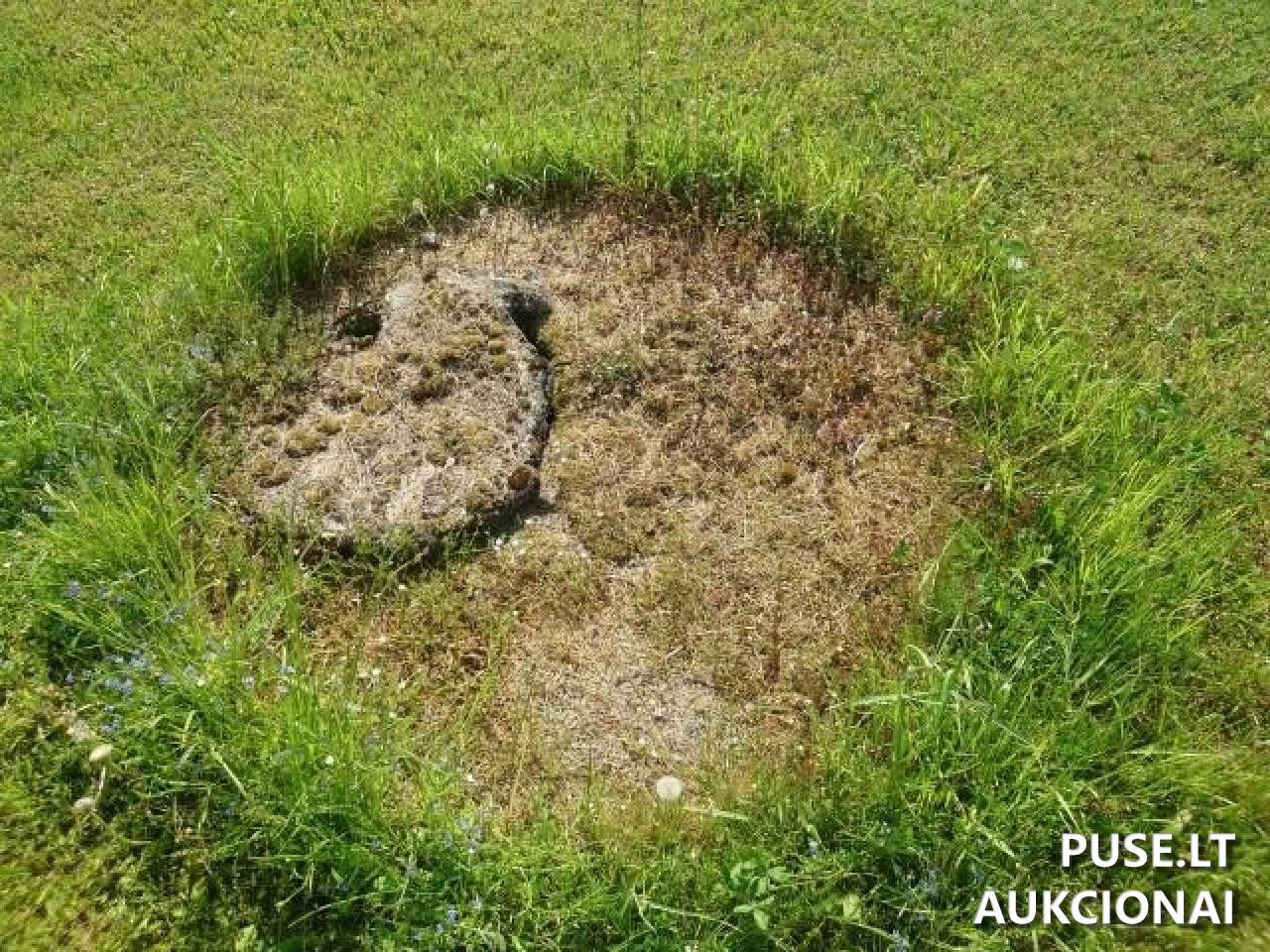 Žemės sklypas Sklypai Akacijų g. 1, 60423 Katauskiai, Šiluvos sen., Raseinių r. sav. 36