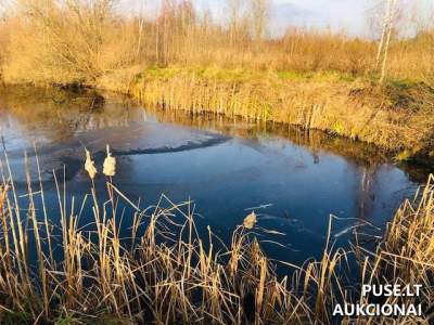 Žemės sklypo 1/2 dalis Vilniaus r. sav. Bubų k. aukcionas nuo 5064 EUR