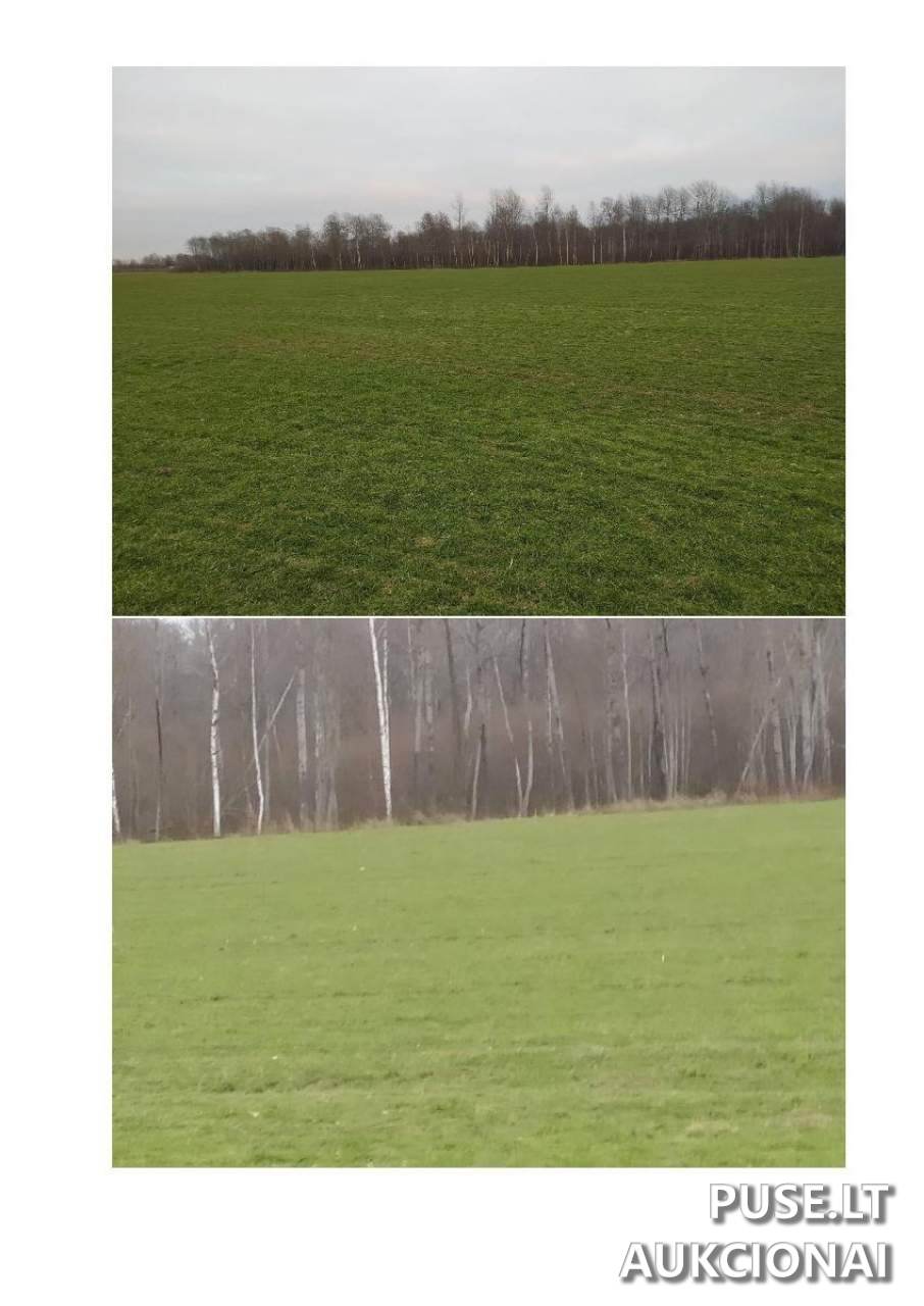 Žemės sklypas Sklypai Žoliškiai, Krinčino sen., Pasvalio r. sav. 4
