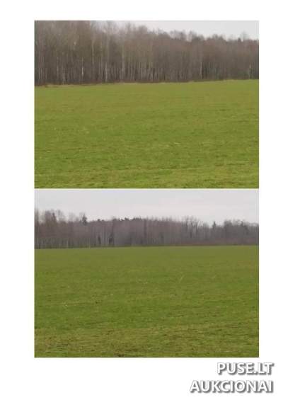 Didelis žemės ūkio 45.38 ha sklypas Pasvalio rajone, Žoliškių kaime, pradinė kaina 334400 EUR