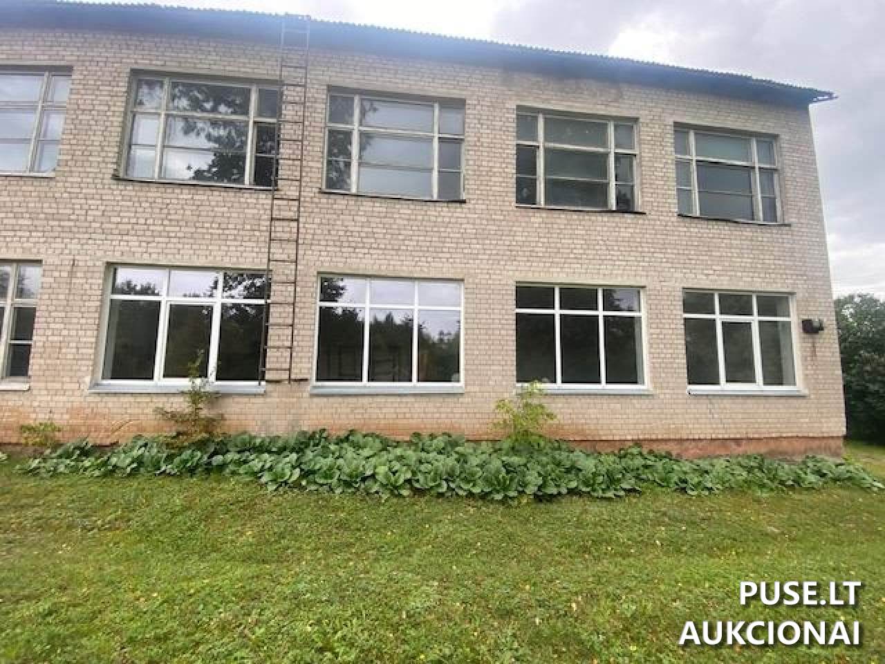 Mokykla Pastatai Ežerų g. 55, 67166 Dumblis, Lazdijų sen., Lazdijų r. sav. 2