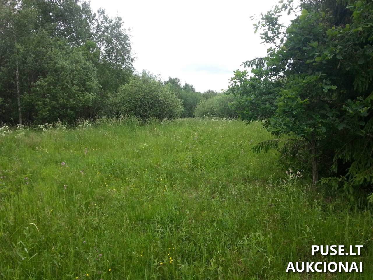 Žemės sklypas Sklypai Petrašiūnų g. 3, 20224 Mėgučiai, Šešuolių sen., Ukmergės r. sav. 12