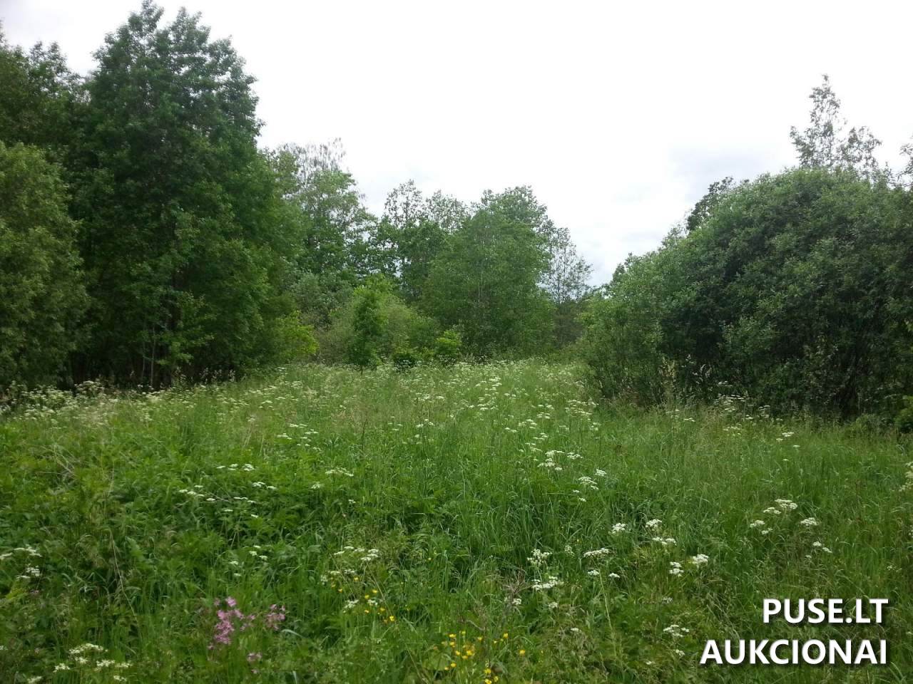 Žemės sklypas Sklypai Petrašiūnų g. 3, 20224 Mėgučiai, Šešuolių sen., Ukmergės r. sav. 14