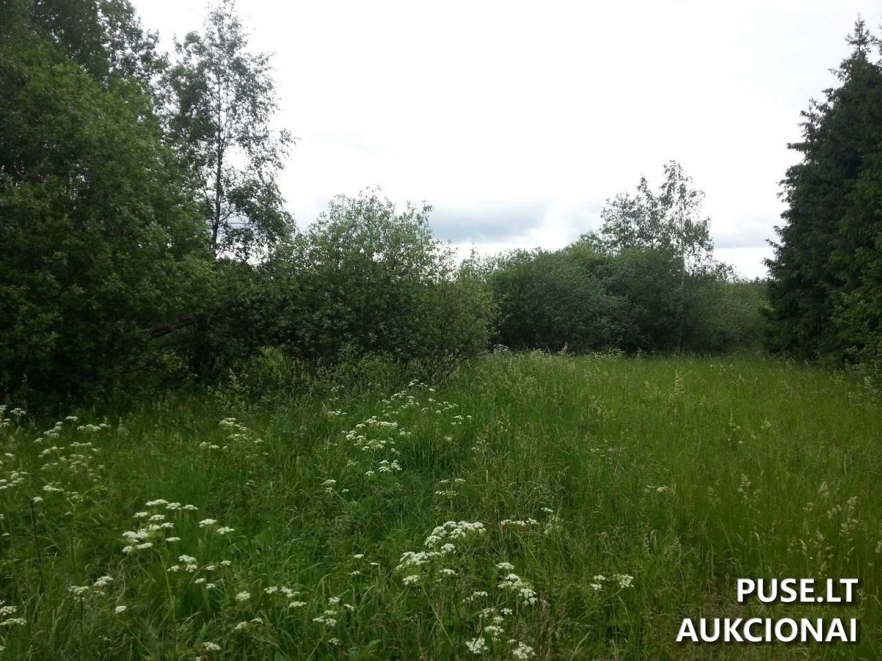 Žemės sklypas Sklypai Petrašiūnų g. 3, 20224 Mėgučiai, Šešuolių sen., Ukmergės r. sav. 15