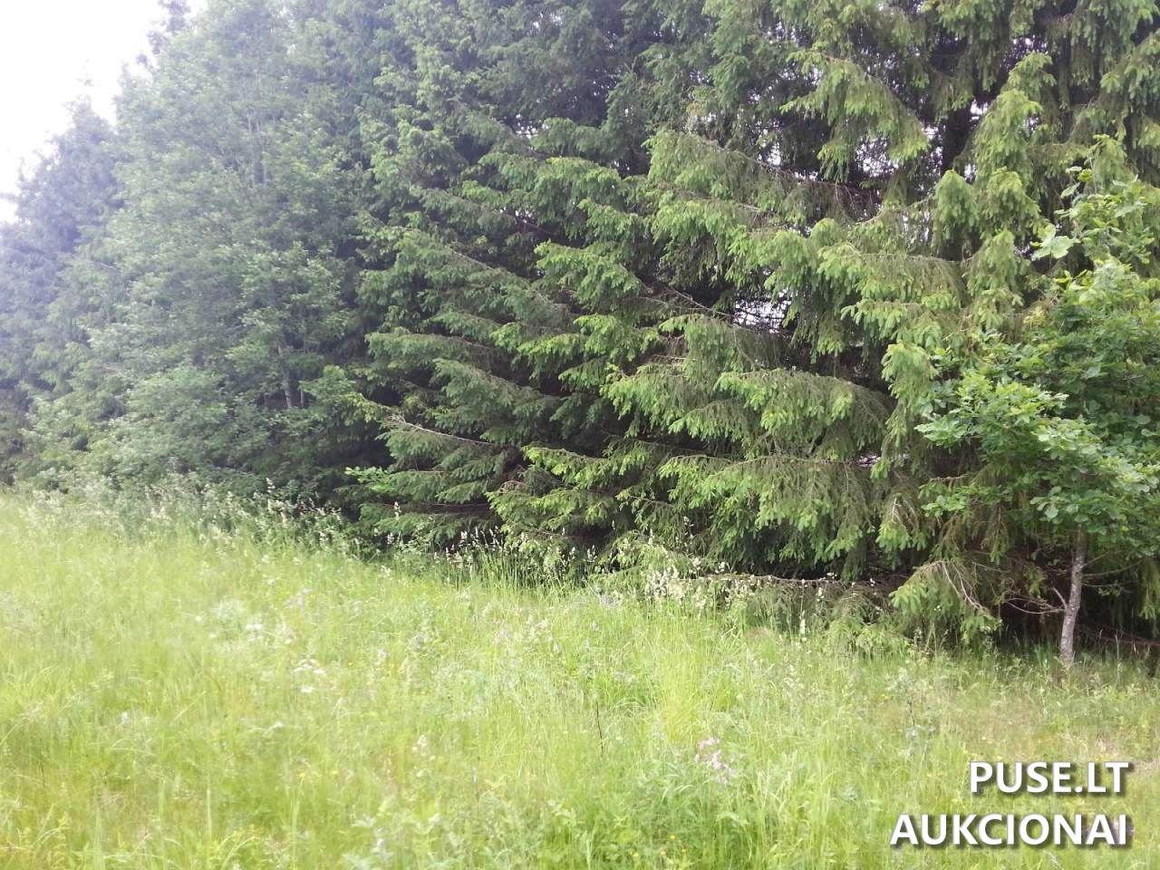 Žemės sklypas Sklypai Petrašiūnų g. 3, 20224 Mėgučiai, Šešuolių sen., Ukmergės r. sav. 16