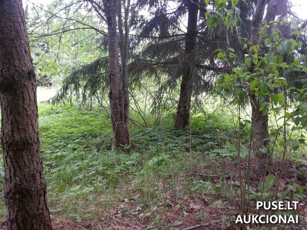 Žemės sklypas Sklypai Petrašiūnų g. 3, 20224 Mėgučiai, Šešuolių sen., Ukmergės r. sav. 17