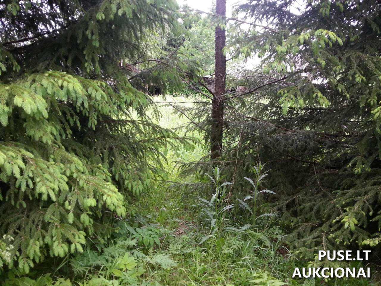 Žemės sklypas Sklypai Petrašiūnų g. 3, 20224 Mėgučiai, Šešuolių sen., Ukmergės r. sav. 18