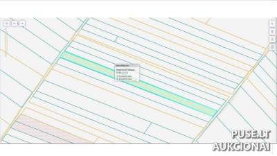 Parduodamas 0.3896 ha žemės ūkio paskirties sklypas Pasvalio r. sav., Girsūdų kaime, pradinė kaina 228 EUR
