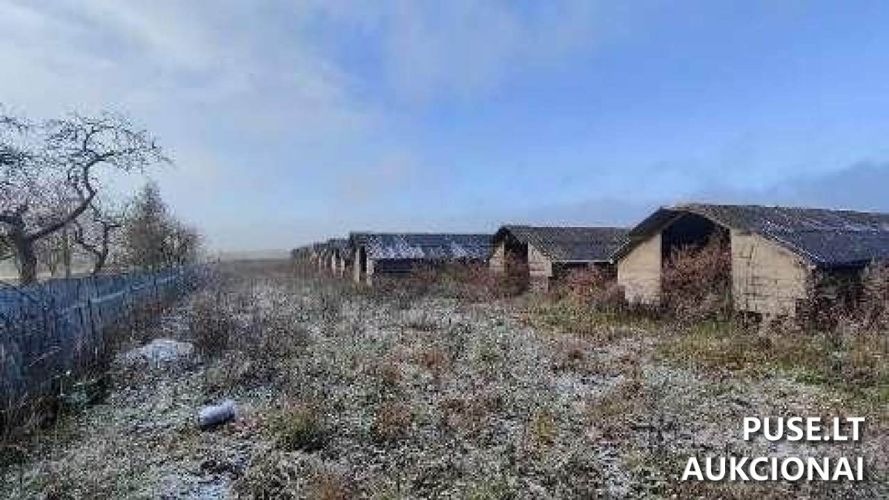 Žemės sklypas Sklypai Valakai 17, 81343, Šakynos sen., Šiaulių r. sav. 5