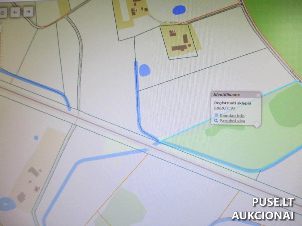 Žemės sklypas Sklypai Lielionys, Stakliškių sen., Prienų r. sav. 2
