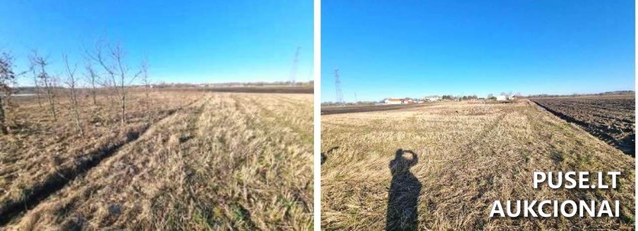 Žemės sklypas Sklypai Raudonupio g. 13, 97158 Daktarai, Kretingos sen., Kretingos r. sav. 1
