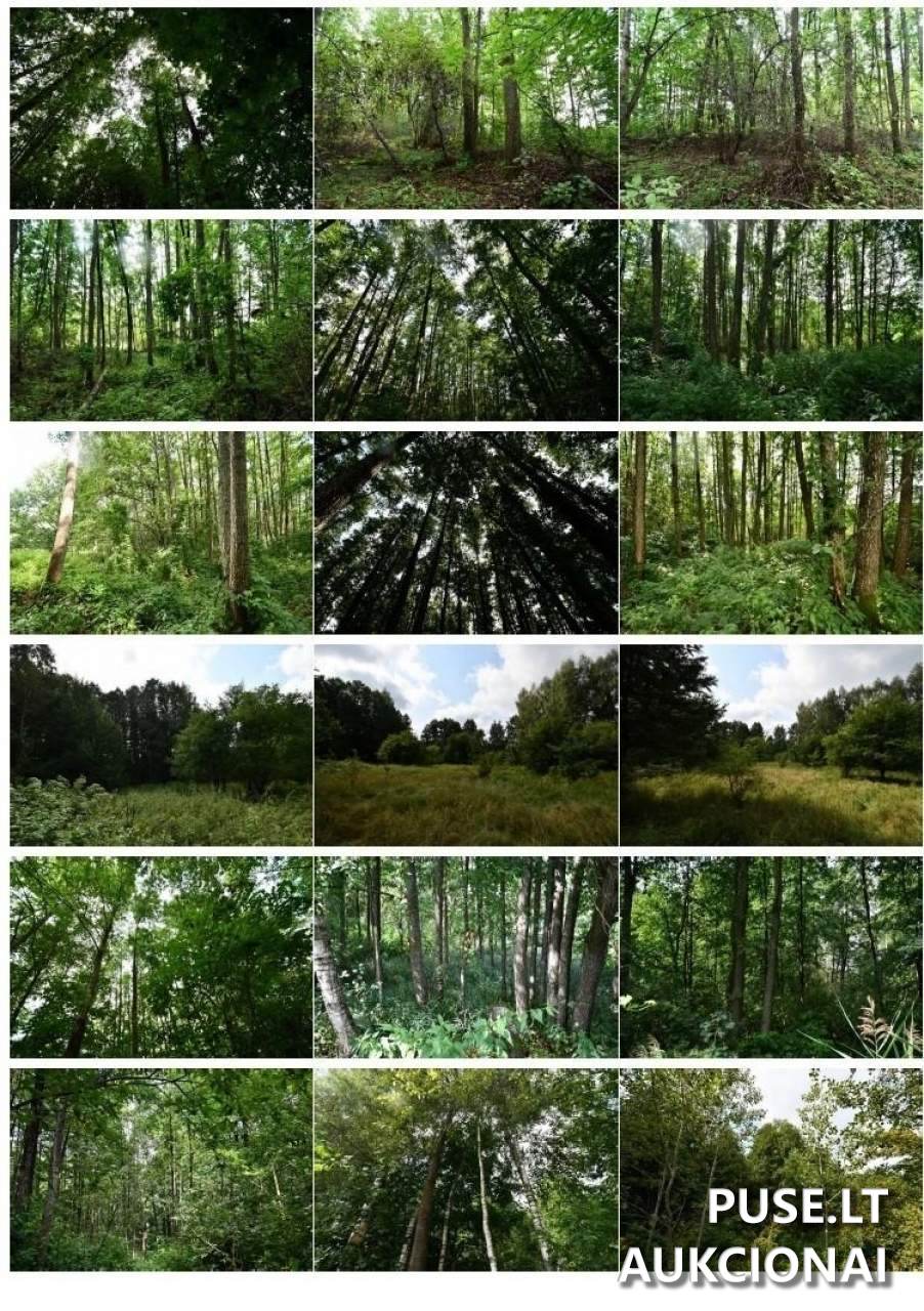 Žemės sklypas Sklypai Gulioniškė, Kazlų Rūdos sen., Kazlų Rūdos sav. 1