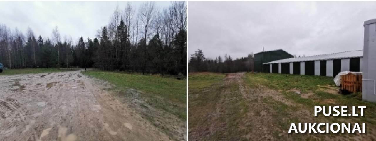 Žemės sklypas Sklypai Kaštonų g. 15, 33322 Skudutiškis, Suginčių sen., Molėtų r. sav. 3