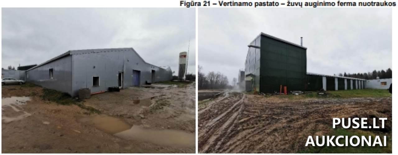 Žemės sklypas Sklypai Kaštonų g. 15, 33322 Skudutiškis, Suginčių sen., Molėtų r. sav. 4