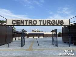 Kitas turtas - Nuomojamas turtas: Statinys (kioskas) Nr. 21