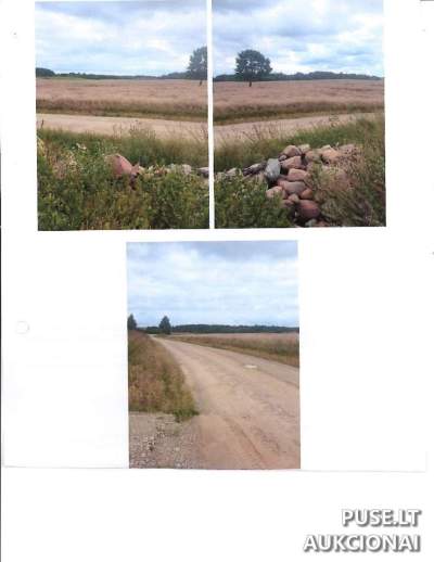 Ūkinis pastatas Kelmės rajone, Pliuškaičių k. 1C, su 316 kv.m ploto pradine 2000 EUR kaina