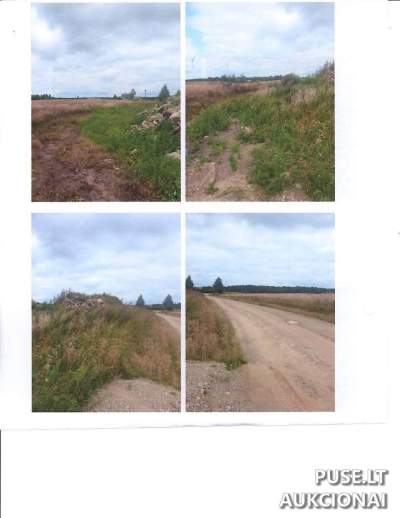 Parduodama pastato dalis - Ferma Kelmės r. sav. Pliuškaičių k. 1D, pradinė kaina 650 EUR